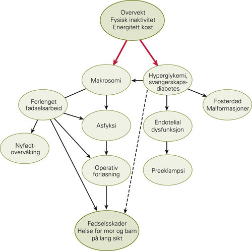 Figur 2  Betydningen av samspillet mellom dysglykemiske tilstander og overvekt, fysisk inaktivitet og energitett kost for&hellip;