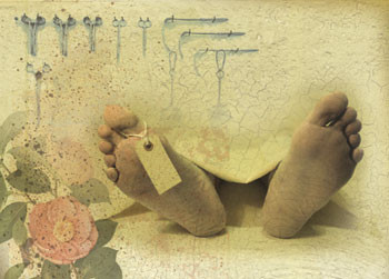 Illustrasjon Stein L&oslash;ken