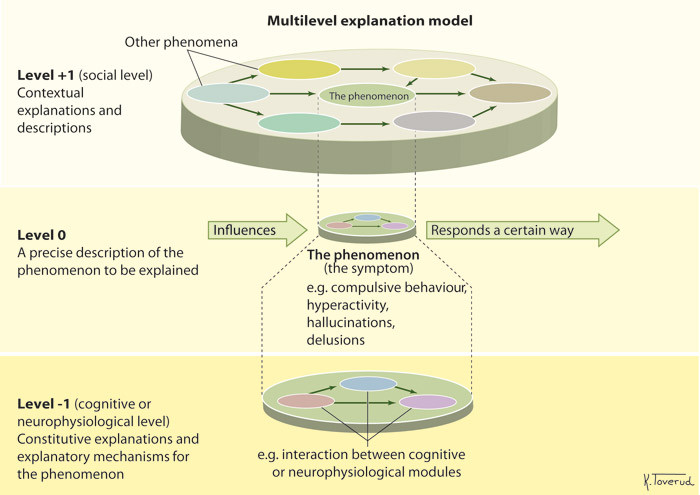 Figure 1.  The phenomenon to be explained (the 0 level) responds in a certain way (arrow pointing right) when exposed to&hellip;