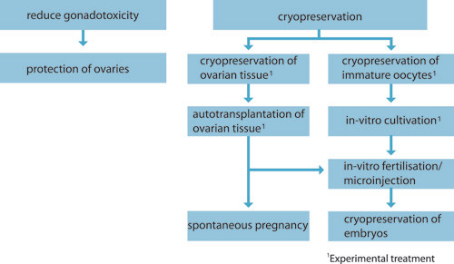 Figure 1  Schematic overview of fertility-preserving methods for prepubertal girls and women who cannot postpone cancer&hellip;