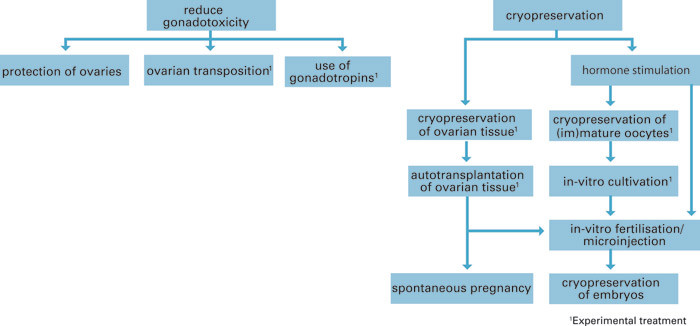 Figure 2  Schematic overview of fertility-preserving methods for adult women who cannot postpone cancer treatment