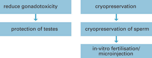 Figure 2  Schematic overview of fertility-preserving methods for adult men who produce semen samples
