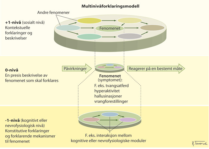 Figur 1  Fenomenet som skal forklares (0-niv&aring;) reagerer p&aring; en bestemt m&aring;te (pil mot h&oslash;yre) n&aring;r det utsettes for p&aring;virkninger&hellip;