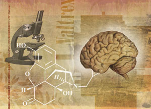 Illustrasjon Stein L&oslash;ken