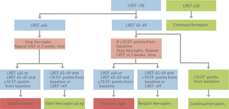 Figure 1  Decision-making algorithm in connection with monitoring of the ejection fraction of patients who are being treated&hellip;