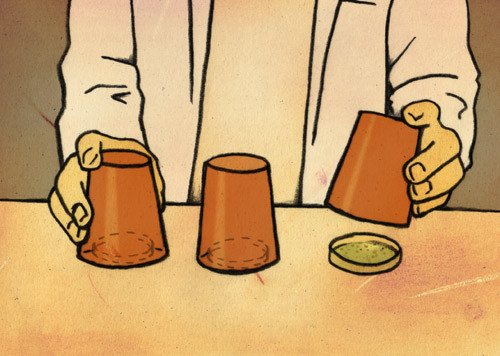 Illustrasjon Stein L&oslash;ken