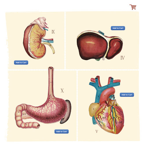 Illustration &copy; Supern&oslash;tt popsl&oslash;yd