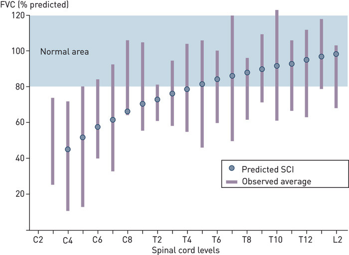 Figure 1  Forced vital capacity in spinal cord injury at different levels. Adapted and based on Table 2 in Linn et al. (5).