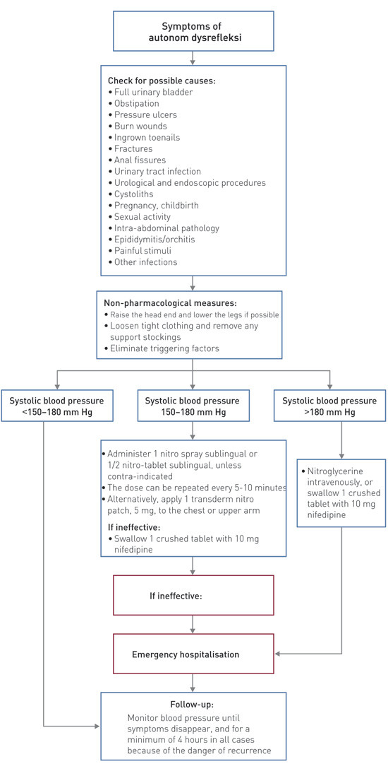 Figure 2  Proposed treatment algorithm for autonomic dysreflexia in persons with SCI, based on treatment algorithms in other&hellip;