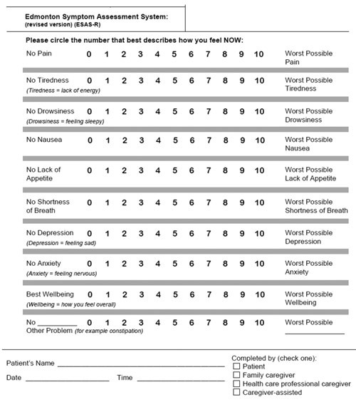 Figure 1  The revised version of the ESAS form