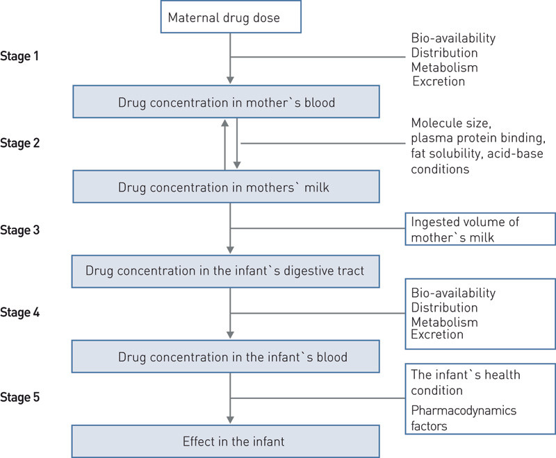 Figure 1:  Exposure to drugs in breast-fed infants by way of mother&rsquo;s milk (1&thinsp;&ndash;&thinsp;3)