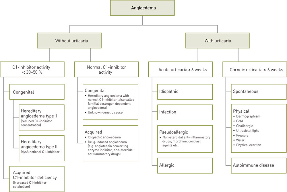 Figure 2  Classification of angioedema and its most common causes 
