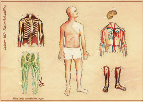 Illustrasjon Stein L&oslash;ken