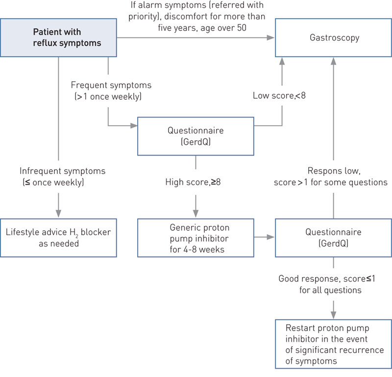 Figure 2  Proposed algorithm for simple assessment and initial treatment of younger patients (< 50) with reflux symptoms but&hellip;
