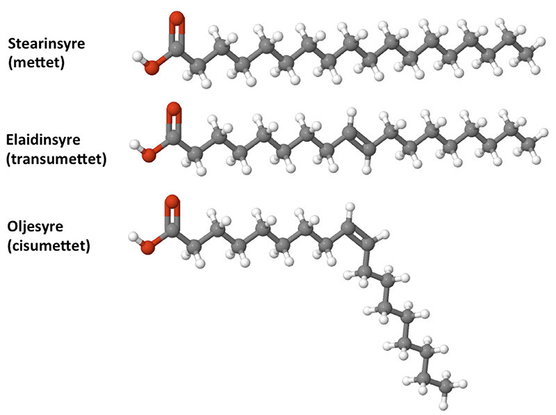 Figur 1  Illustrasjon av henholdsvis en mettet, en transumettet og en cisumettet fettsyre med 18 karbonatomer i&hellip;
