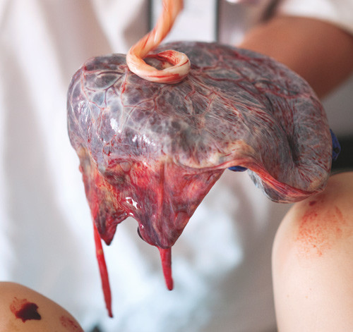 Illustrasjonsfoto Samfoto/NTB scanpix