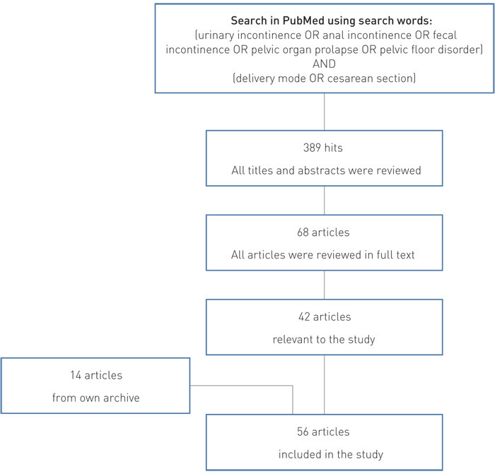 Figure 1  Review of literature search