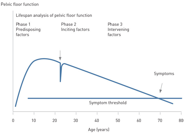 Figure 2  The pelvic floor from a lifespan perspective with impacts of different factors at different phases. Phase 1:&hellip;