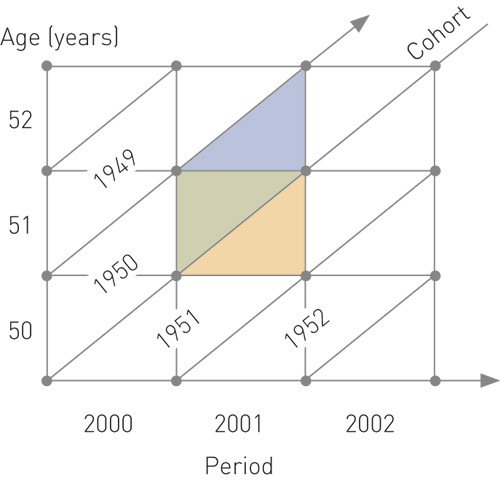 Figure 1  Women are invited according to birth cohort (parallelogram) to attend the Norwegian Breast Cancer Screening&hellip;
