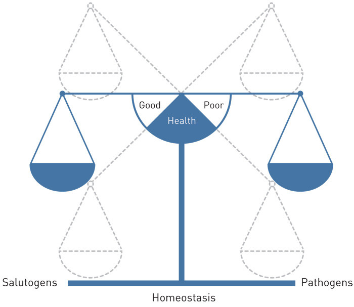 Figure 1  Health as homeostasis: model showing health-promoting factors (salutogens) and disease-promoting factors &hellip;