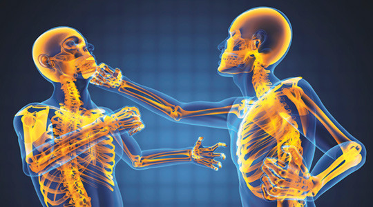 Illustrasjonsfoto Colourbox