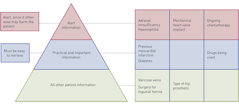 Figure 1  The relationship between alert information and the total content of a patient record