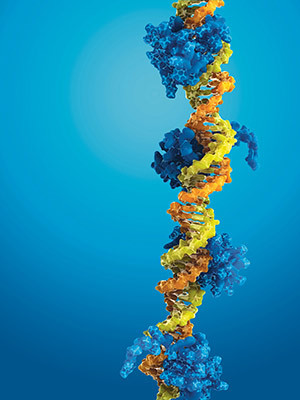 Illustrasjonsfoto: Science Photo Library