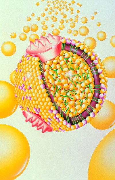 Illustrasjonsfoto: Science Photo Library