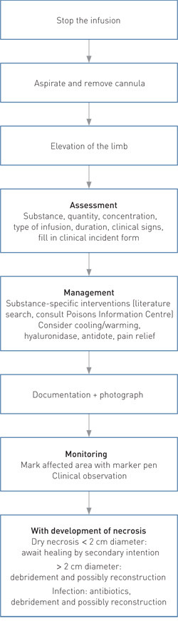 Figure 2  Algorithm used at Oslo University Hospital for extravasation injuries