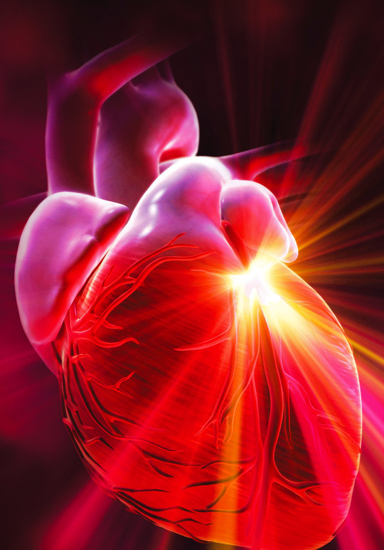 Illustrasjonsfoto: Science Photo Library