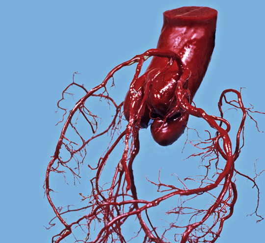 Illustrasjonsfoto: Science Photo Library