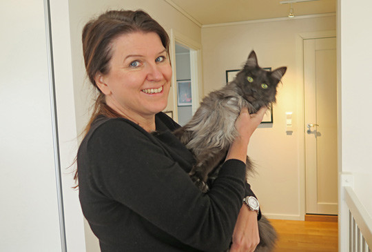 BRUCE: Den oppmerksomhetss&oslash;kende katten Bruce er fast inventar hos Kari Sollien p&aring; Gj&oslash;vik. Foto: Julie Kalveland