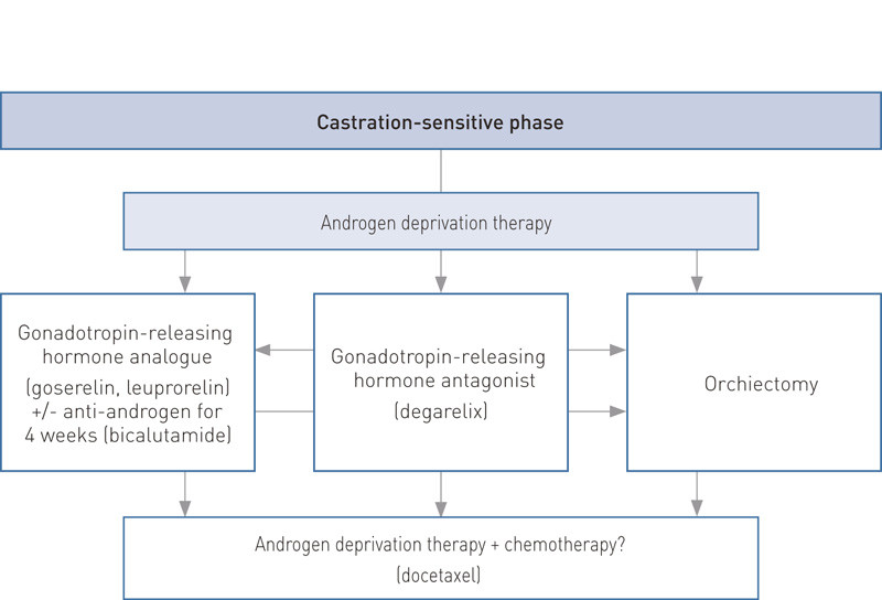 Figure 1  Our proposed treatment algorithm for castration-sensitive metastatic prostate cancer. In the castration-sensitive&hellip;