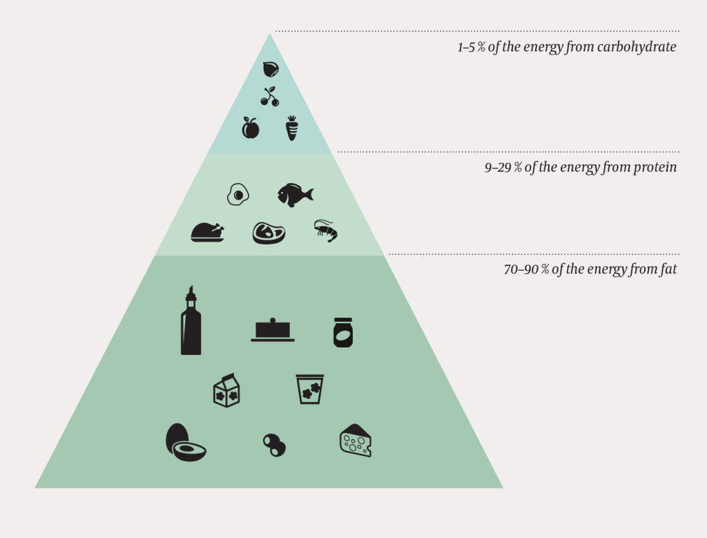 Figure 1 The ketogenic diet pyramid shows the main groups of foods used in a ketogenic diet as practised at the National&hellip;