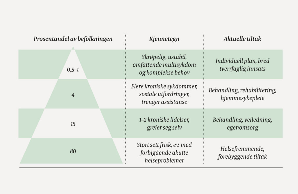 Figur 1 Risikokartlegging med prosentvis fordeling av ulike risikogrupper, hvilke kjennetegn disse gruppene typisk har og&hellip;
