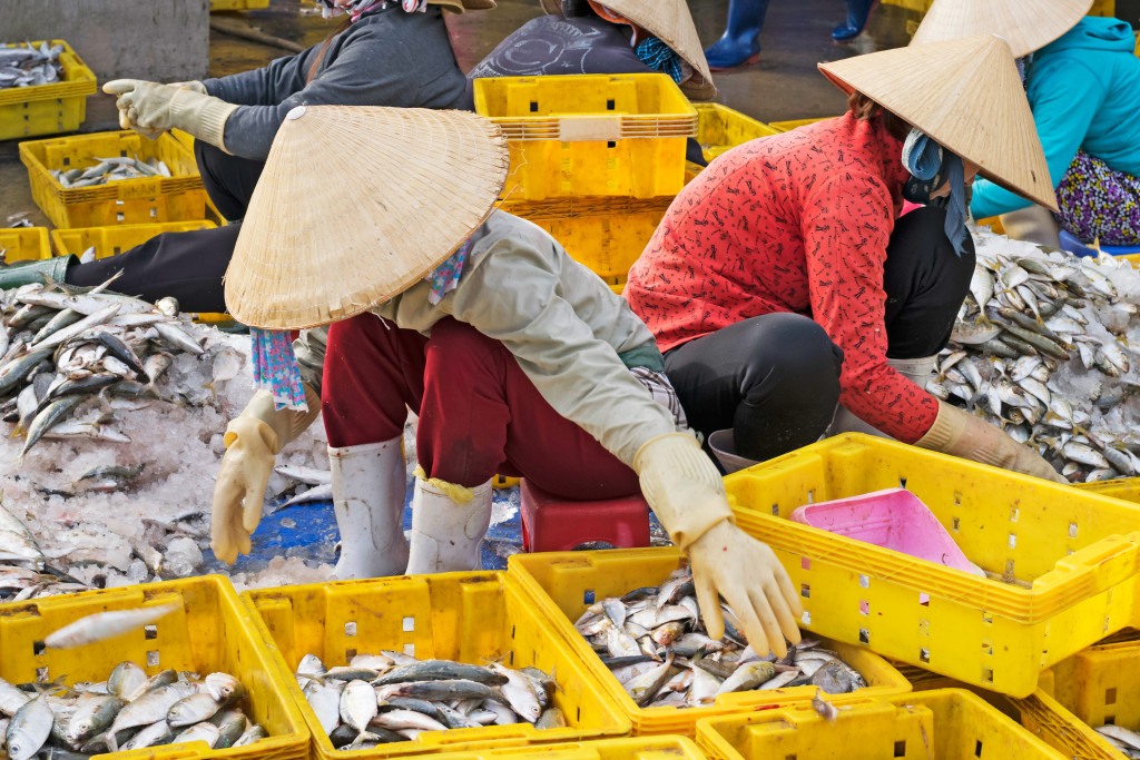 Tradisjonelt fiskemarked i s&oslash;r&oslash;stasiatiske land. Leverikte er utbredt i Thailand, Kambodsja og Laos, der vanligste&hellip;