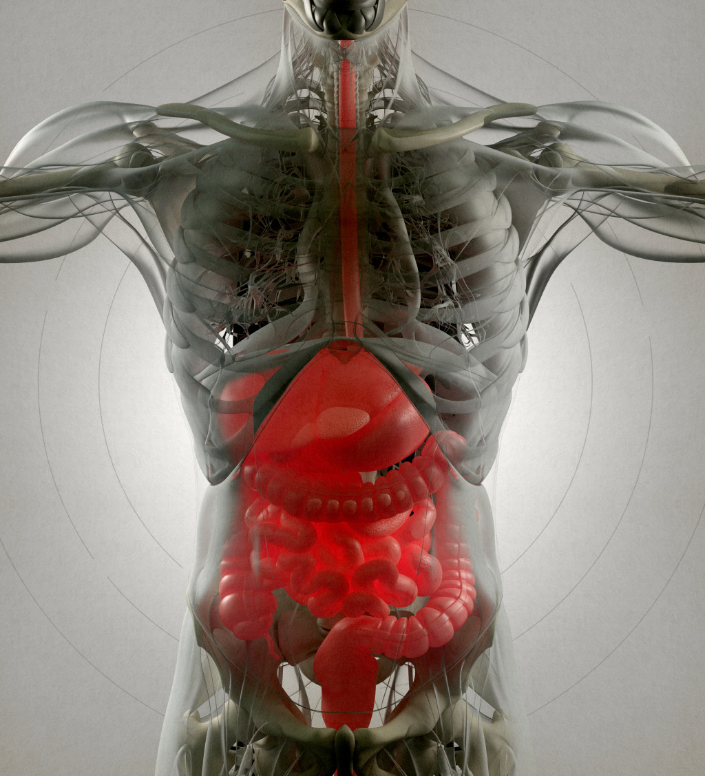 Illustrasjonsfoto: ChrisChrisW/iStock