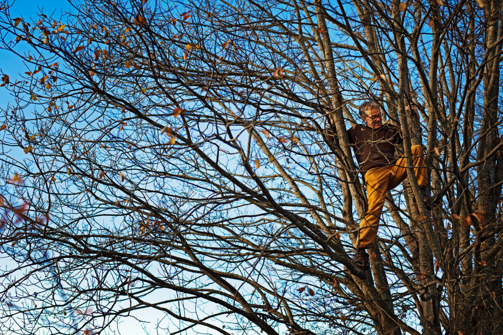 &ndash; Jeg synes det er urettferdig at det bare er barn som f&aring;r klatre i tr&aelig;r, sier Even Reinertsen.