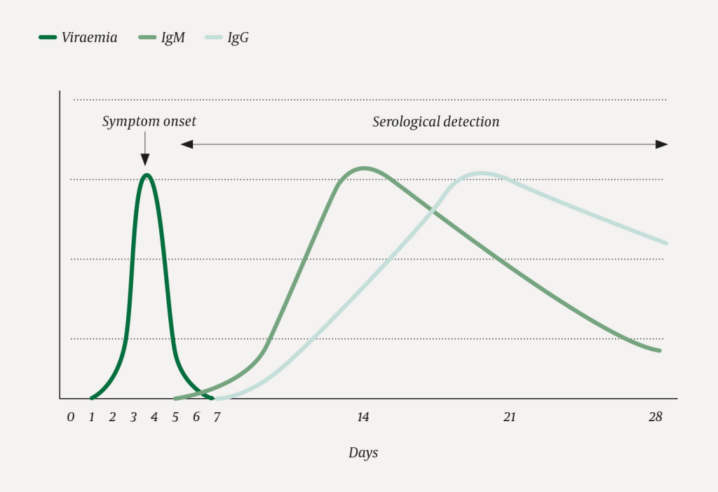 Figure 1 Viraemic phase and antibody detection upon infection with dengue virus. The figure is based on a sketch by Susanne&hellip;