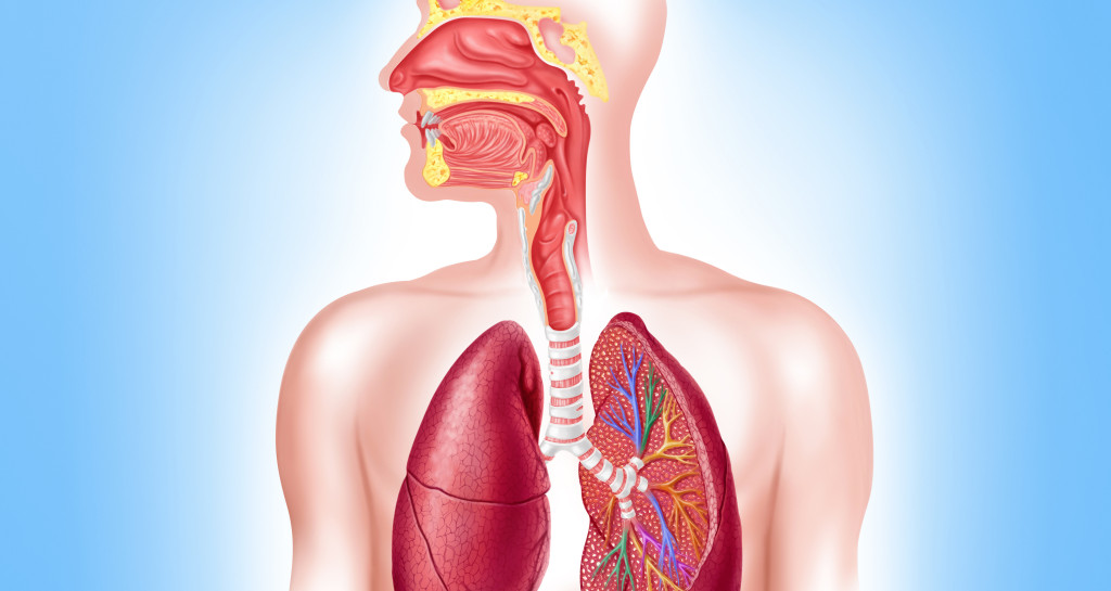 Spiser&oslash;rskreft. Eventuell spredning skjer vanligvis til luftr&oslash;ret, bronkier, hjertepose, lever, lunge og til lymfeknuter i&hellip;