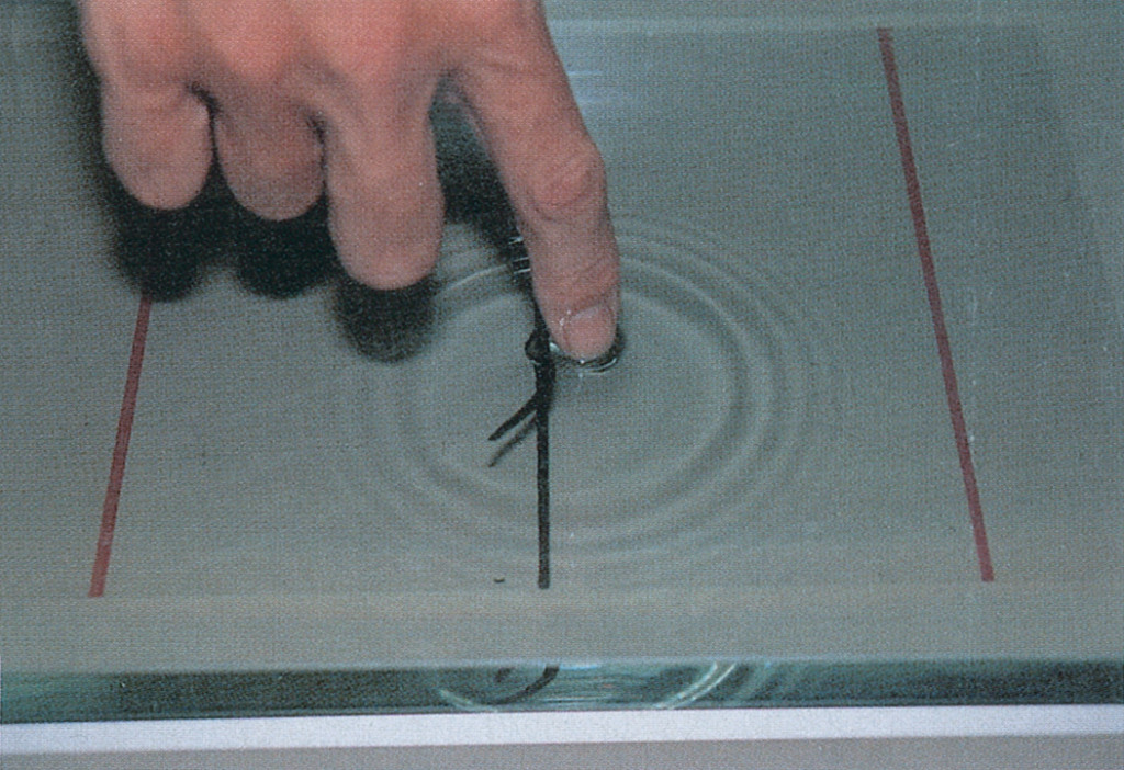 Figur 7 Blodiglene ble sluppet ved den sorte midtstreken. I fors&oslash;kets f&oslash;rste del registrerte vi deres spontane vandring mot&hellip;