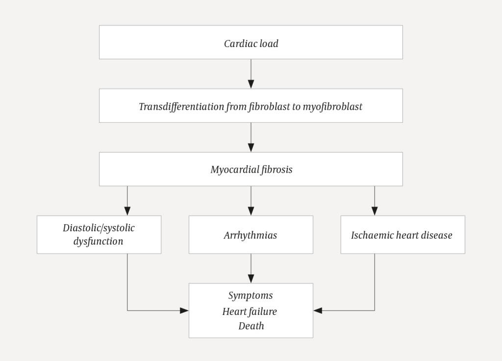 Figure 3 Myocardial fibrosis &ndash; pathophysiology and consequences (design based on article text).