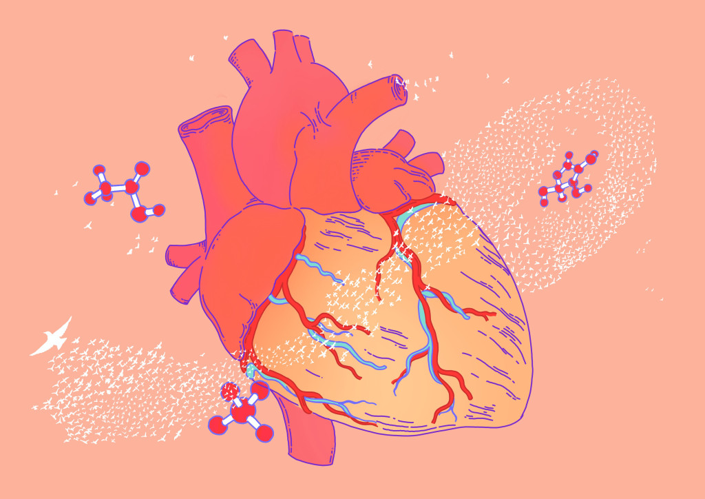 Illustration: Sylvia St&oslash;lan