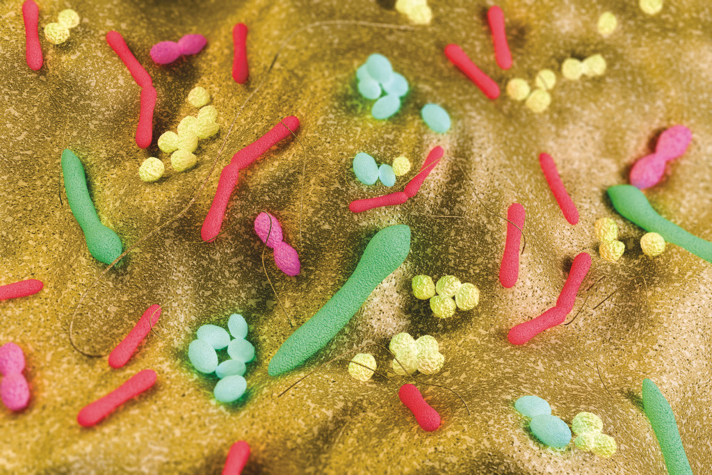 Illustrasjon: jamesbenet/iStock