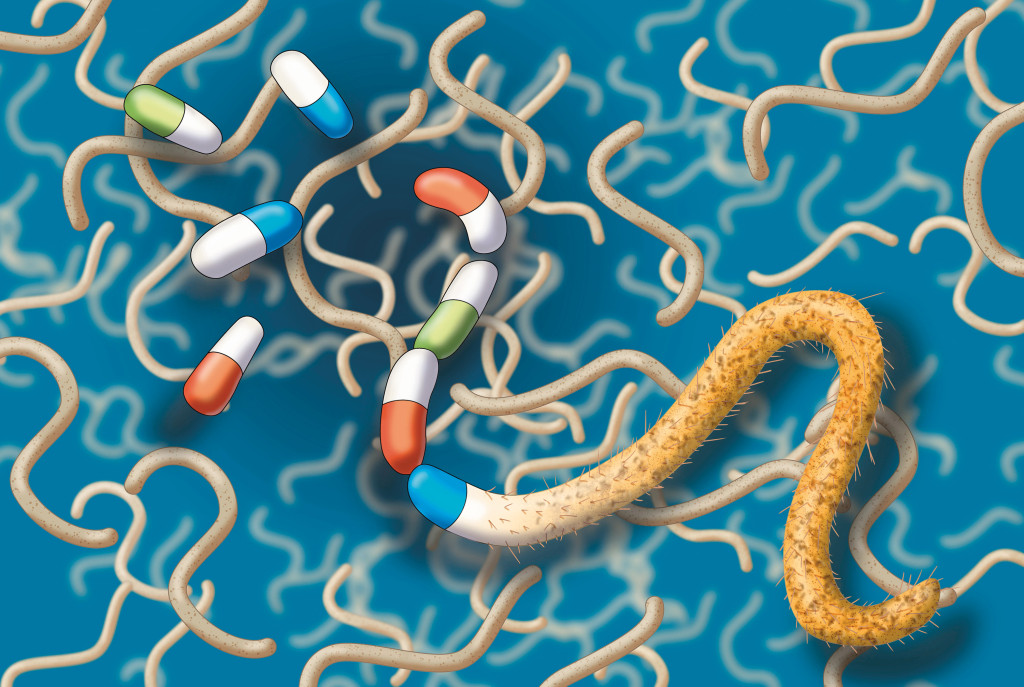 Illustrasjon: Science History Images / Alamy Stock Photo