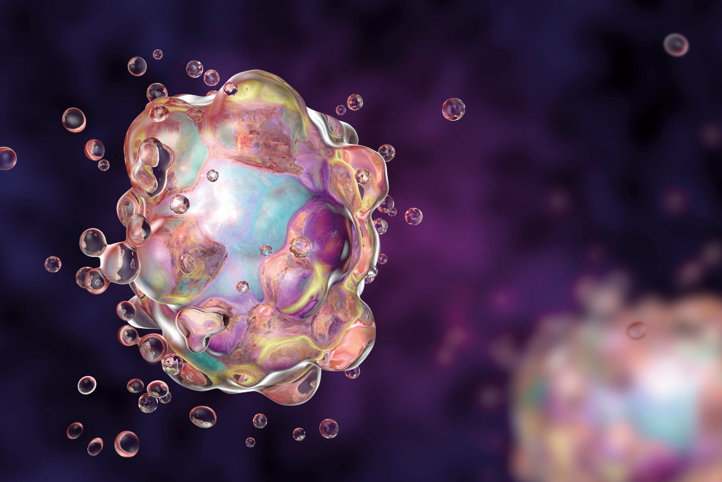 En celle i et tidlig stadie av programmert celled&oslash;d. Illustrasjon: Science photo library / NTB Scanpix