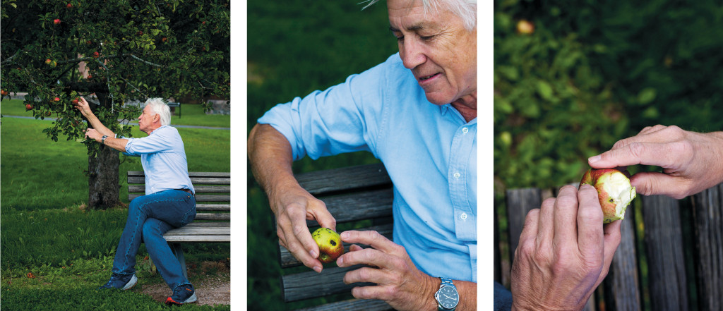 Oi, det er jo fullt av mark, sier Reidar Tyssen og ler, etter &aring; ha tatt en stor bit av eplet i parken utenfor Gaustad. &ndash; Men&hellip;
