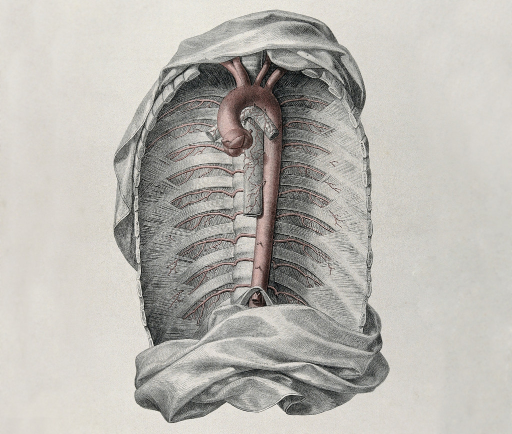 Litografi av Jakob Wilhelm Christian Roux fra 1822. Illustrasjon: Wellcome Library