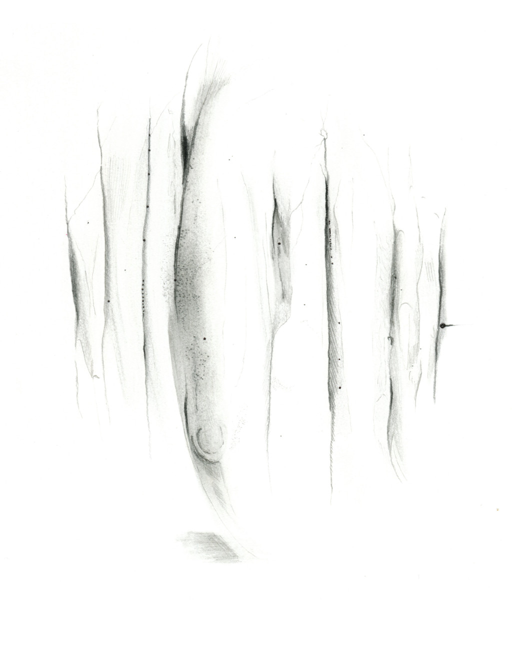 Illustrasjon: &Oslash;ystein Figenschou