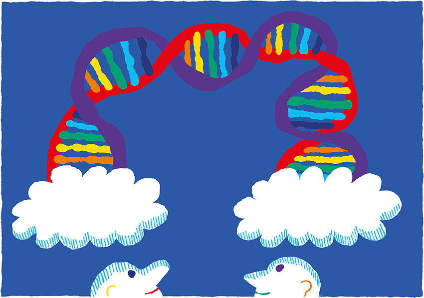 Illustration: Espen Friberg